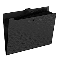 Папка А4, 12 отделений, Your Way, 600 мкм, на кнопке, черная