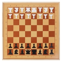 Демонстрационные шахматы магнитные