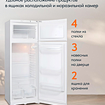 Холодильник Indesit TIA 16 E бежевый