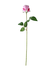 Цветы искусственные "Роза Лакерия бархат" d-4,5 см 48,5 см, бело-сиреневый