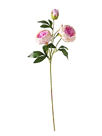 Цветы искусственные "Пион Бьорг" d-8,5 см 65 см, бело-сиреневый