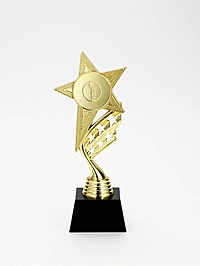 Кубок, наградная фигура «Звезда», подставка пластик, золото, 24×10.1×7.8 см
