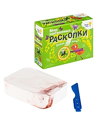 Набор для раскопок "Мир насекомых", 2 фигурки RSKP13