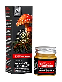 Крем-мазь мухомор с живицей «Кавказская АптЭко», пластик, 40 мл