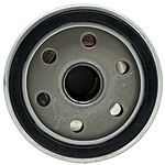 Фильтр масляный LivCar LCM029W / S5501-4302A