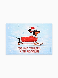 Наклейка на бутылку "Год был трындец, а ты молодец" 12х8