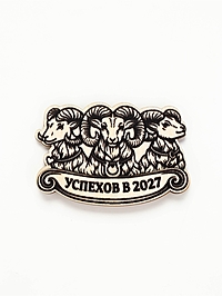 Магнит деревянный «Успехов»