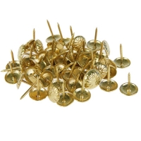Гвозди декоративные, 16 х 11 мм, фактурные, цвет золото, в упаковке 100 шт.