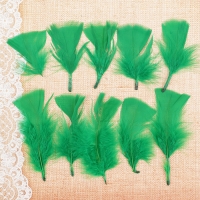 Набор перьев для декора 10 шт, размер 1 шт 10*4 цвет светло зеленый