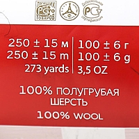 Пряжа "Деревенская" 100% полугрубая шерсть 250м/100гр (02-Черный)