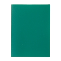 Папка с 10 прозрачными вкладышами A4 500 мкм, Calligrata, песок, зелёная