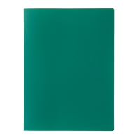 Папка с 20 прозрачными вкладышами А4, 500 мкм, Calligrata, песок, зелёная