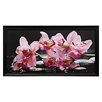 Картина "Розовые орхидеи"