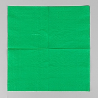 Салфетки бумажные (набор 20 шт) 25*25 см Однотонные, зелёный