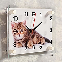 Часы настенные прямоугольные "Котенок", 20х26 см микс
