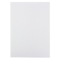 Картон белый А3 10 листов "Беседка" мелованный, 200г/м2