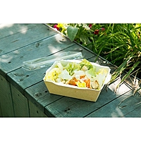 Упаковка, салатник с прозрачной крышкой, 16,5 х 12 х 4,5 см, 0,5 л